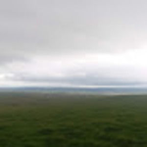 Meet your Posher, Anne